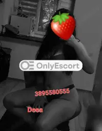 3895580555 immagine 1