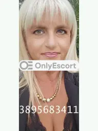 3895683411 immagine 5