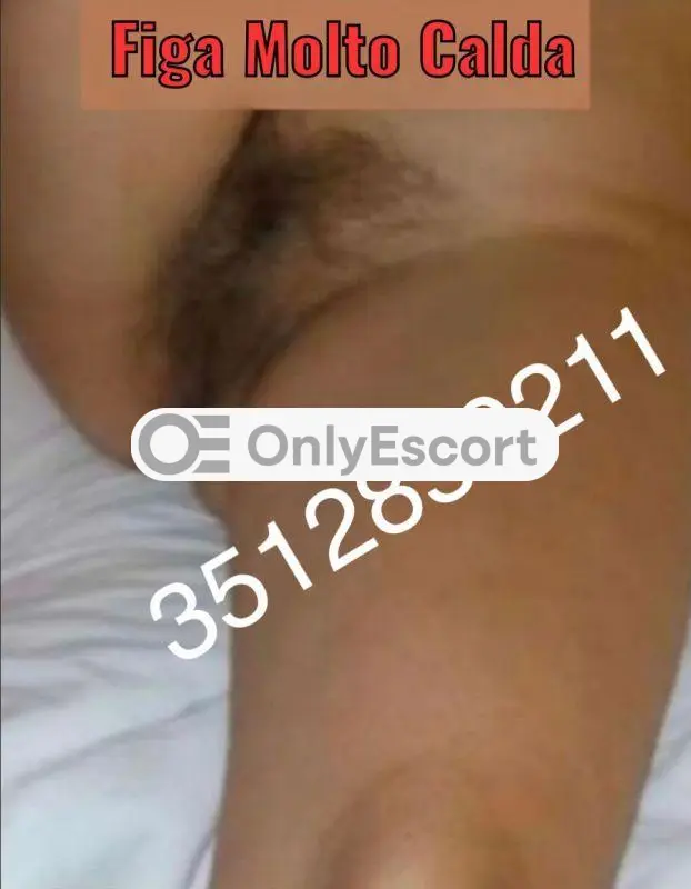 3512850211 immagine 0