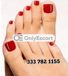 3337821155 immagine 2