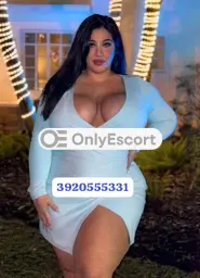 3920555331 immagine 2