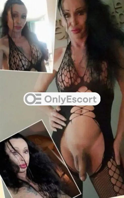 3784128960 immagine 3