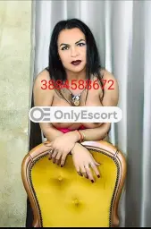 3884588672 immagine 1