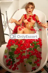 3331086571 immagine 4