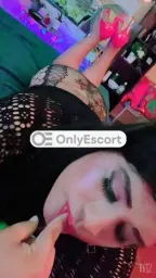 3891408538 immagine 2
