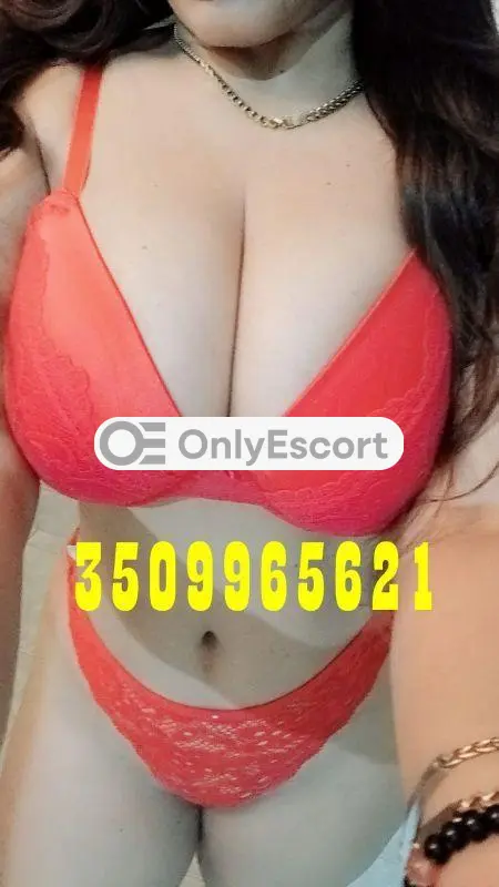 3509965621 immagine 3