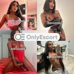 3281633504 immagine 1