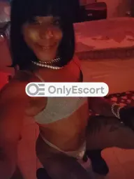 3508279692 immagine 1