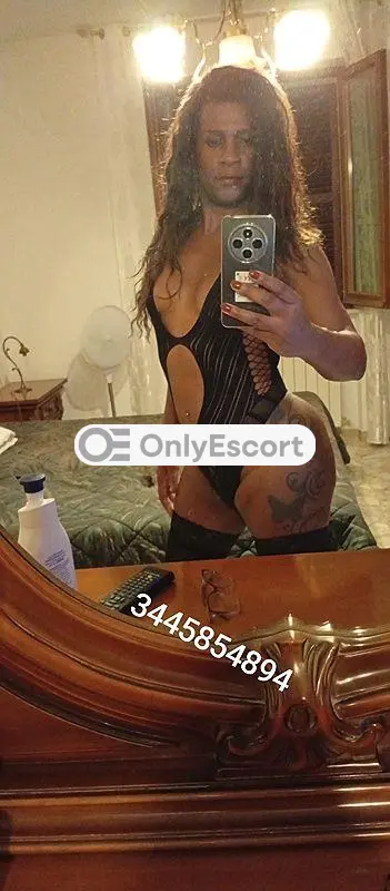 3445854894 immagine 4