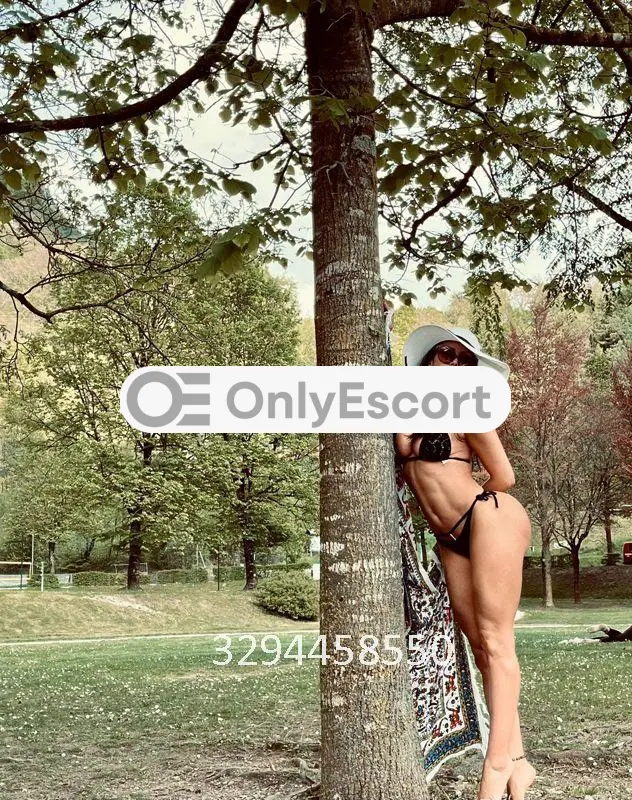 3294458550 immagine 1