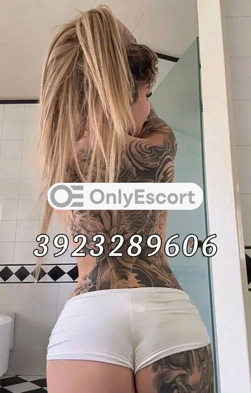 3923289606 immagine 1