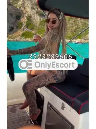 3923289606