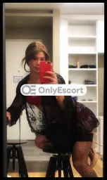 3391204629 immagine 1