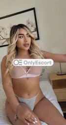 3511066173 immagine 17