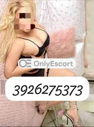 3926275373 immagine 2