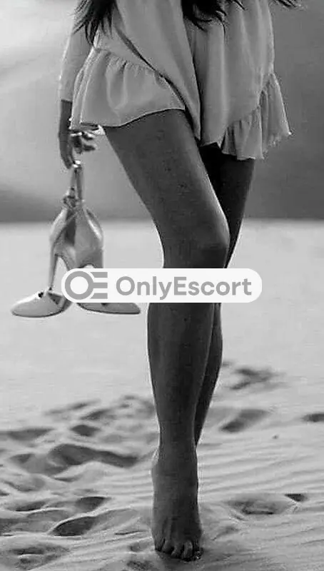 3519180430 immagine 4