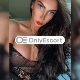 3801388074 immagine 4