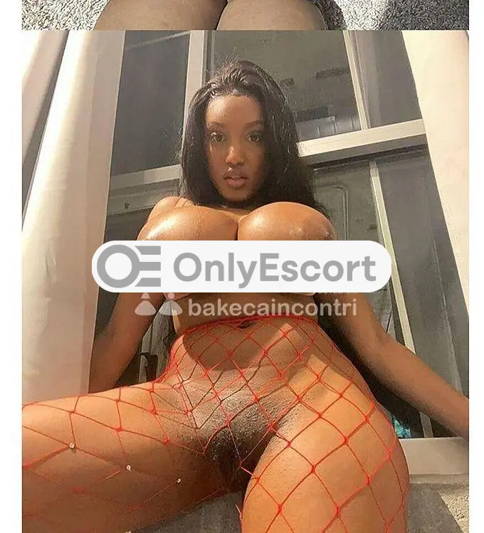 3933386630 immagine 13
