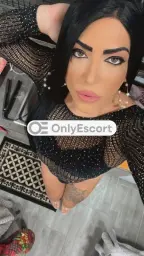 3899482347 immagine 6