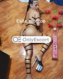 3512835670 immagine 18