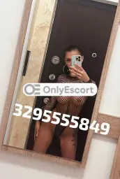 3295555849 immagine 1