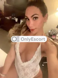 3512380643 immagine 1