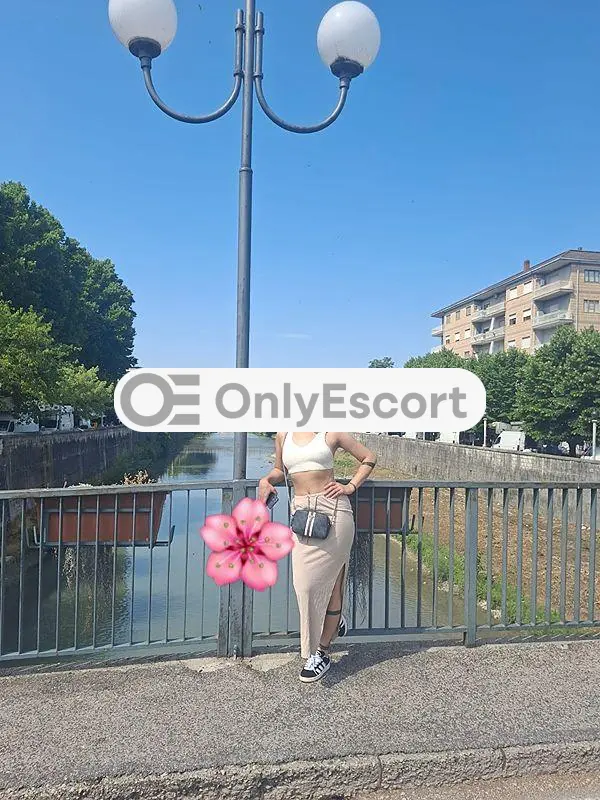 3508447387 immagine 18