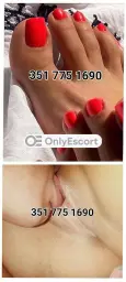 3517751690 immagine 0