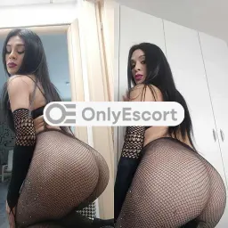 3332314246 immagine 13