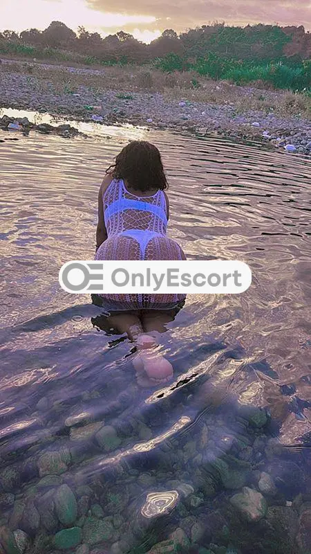 3889264690 immagine 1