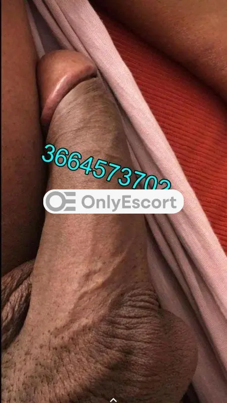 3664573702 immagine 1