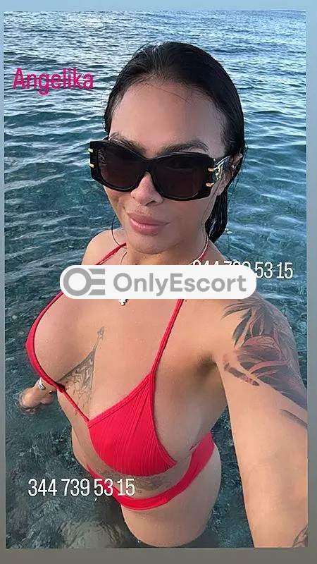 3447395315 immagine 1