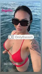 3447395315 immagine 1