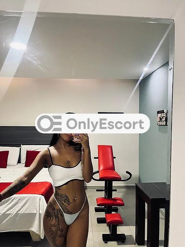 3511806415 immagine 3