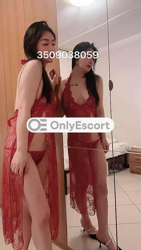 3509038059 immagine 7