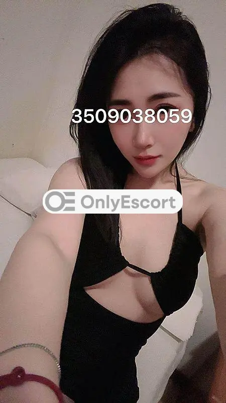 3509038059 immagine 6