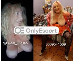 3669541559 immagine 1