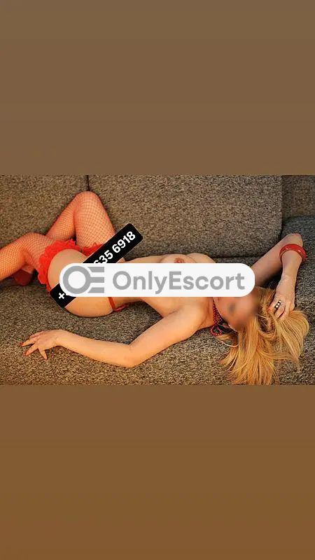 3806356918 immagine 0