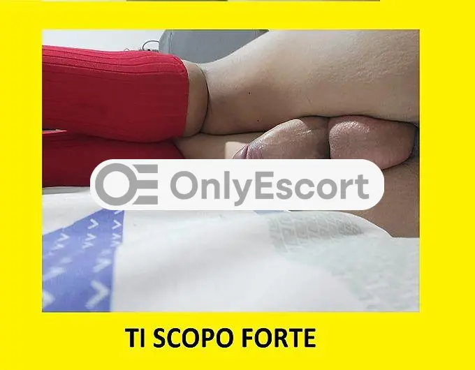 3343826333 immagine 4