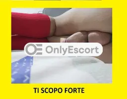3343826333 immagine 4