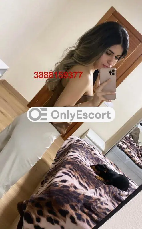 3888159377 immagine 2