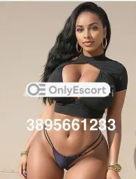 3895661233 immagine 5