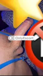 3882413533