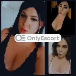 3520543777 immagine 1