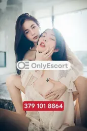 3791018864 immagine 3