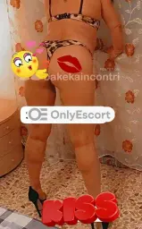 3929456164 immagine 12