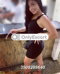3508289640 immagine 11