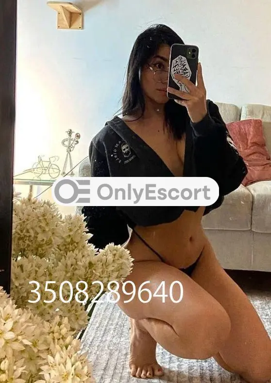 3508289640 immagine 3