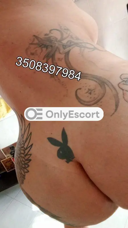 3508397984 immagine 14