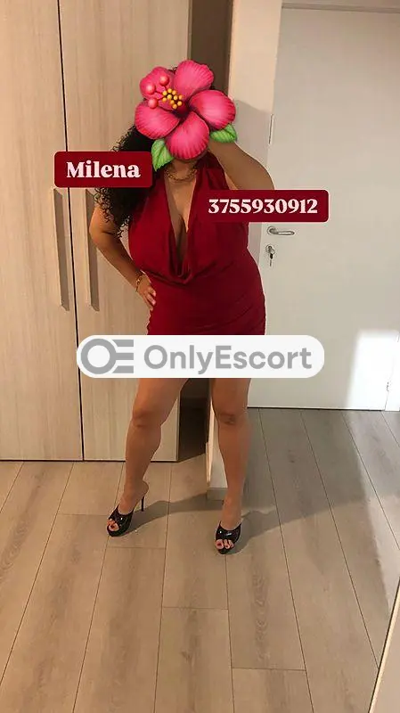 3755930912 immagine 10